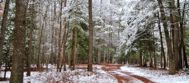 Snow in Southern Delaware on Eagle View Trail at Coastal Club