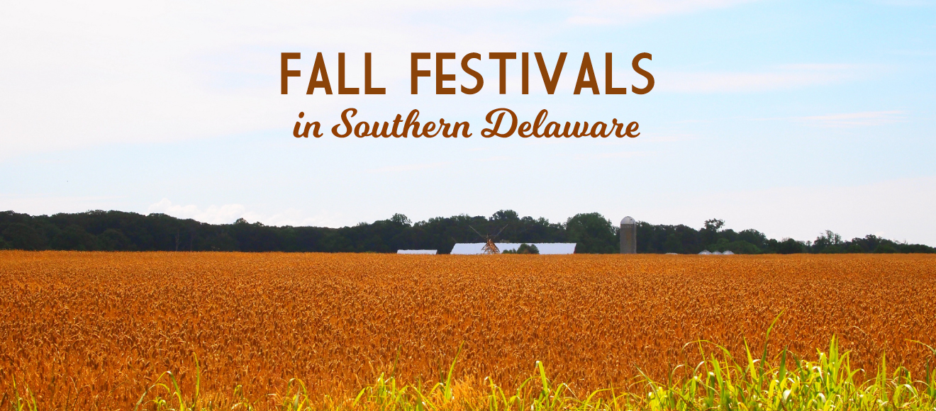 fall in Southern Delaware