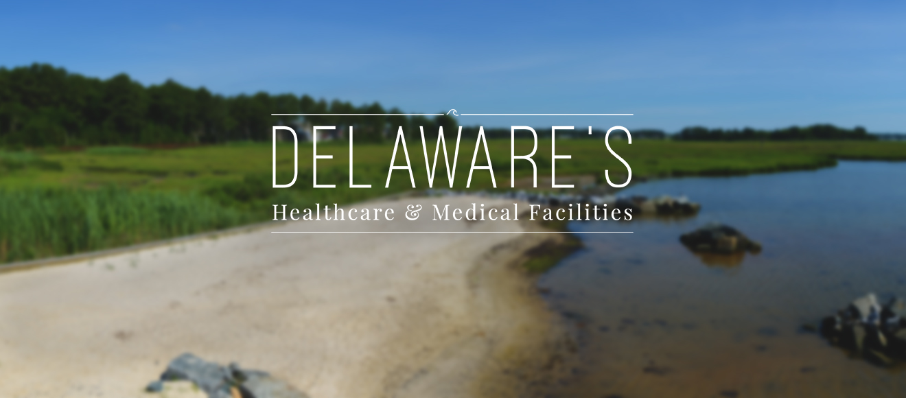 Delaware healthcare 