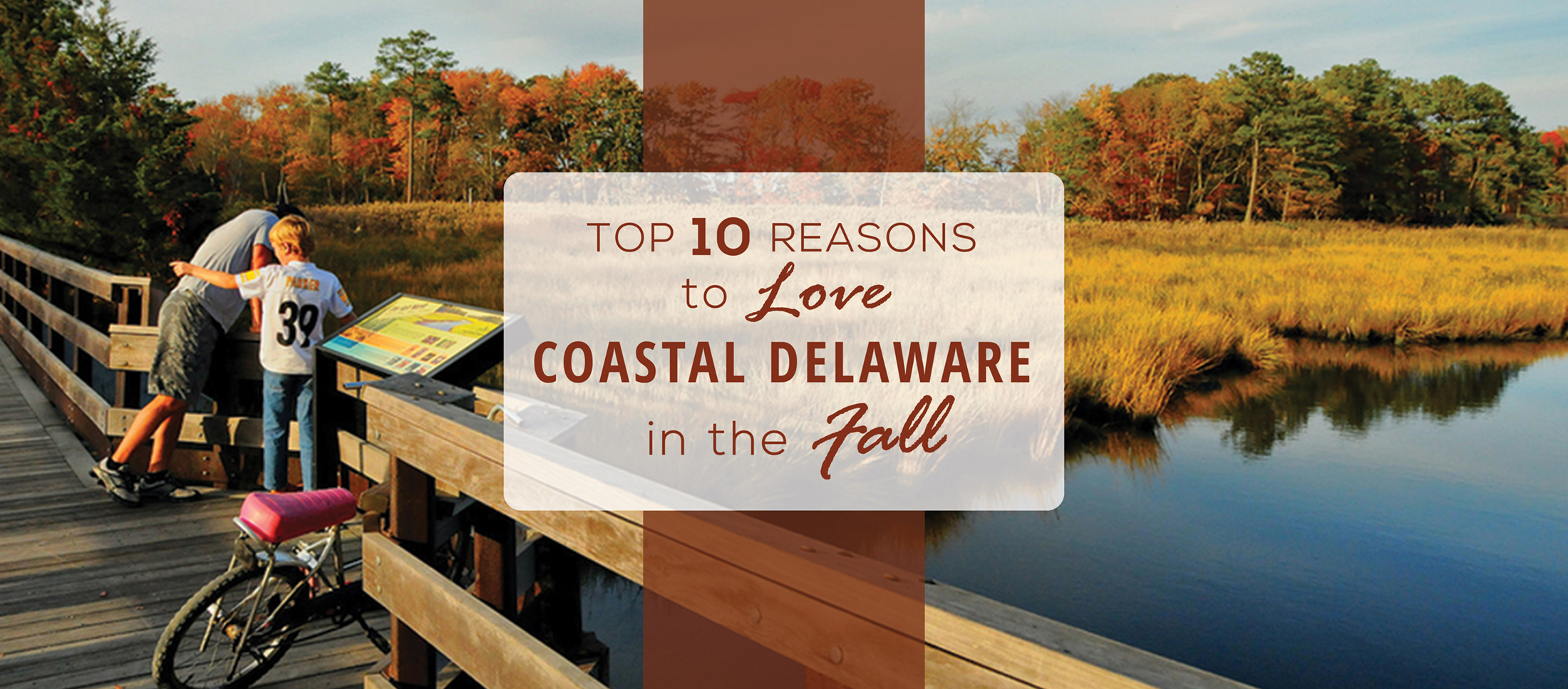 Delaware in the fall