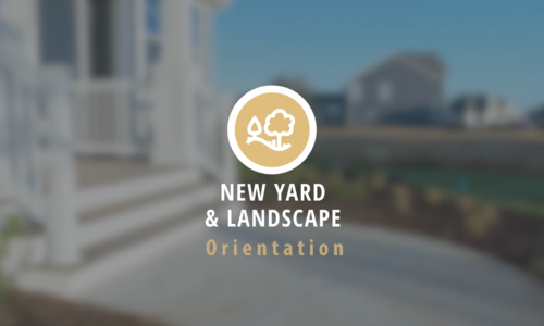 New Yard and Landscape Orientation